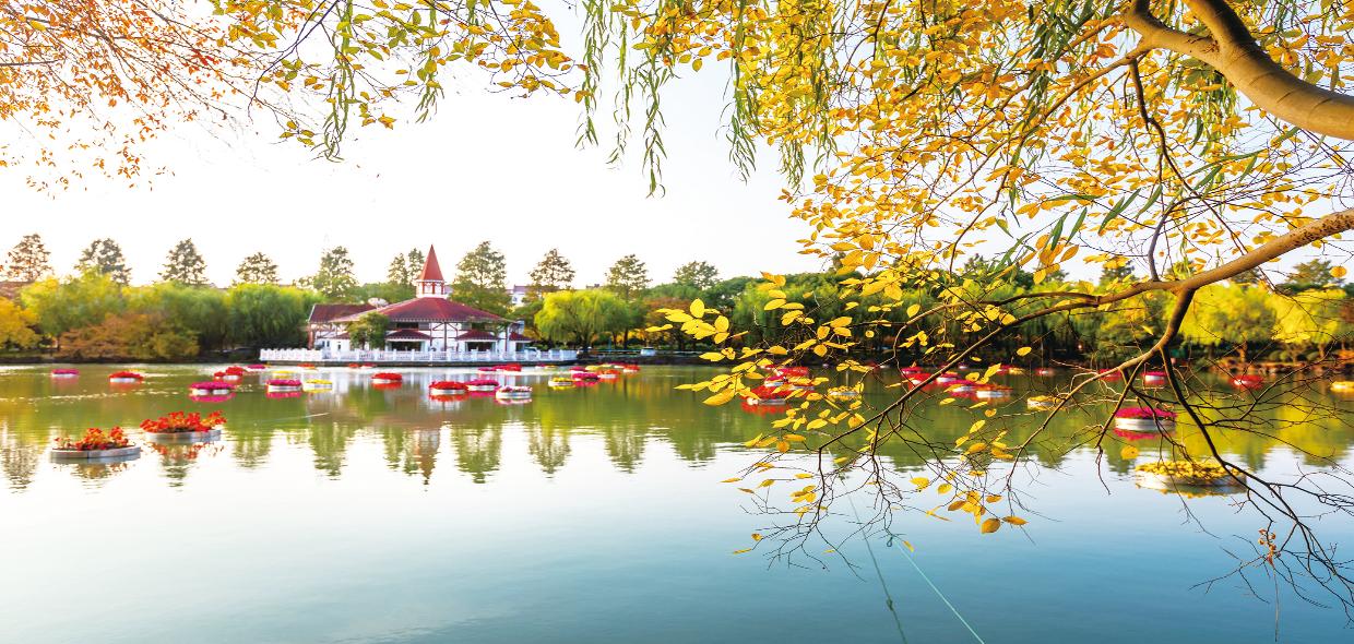 秋意渐浓，松江新城景色迷人，街头巷尾、池畔湖边、林间树下，都能看到五彩斑斓的秋色